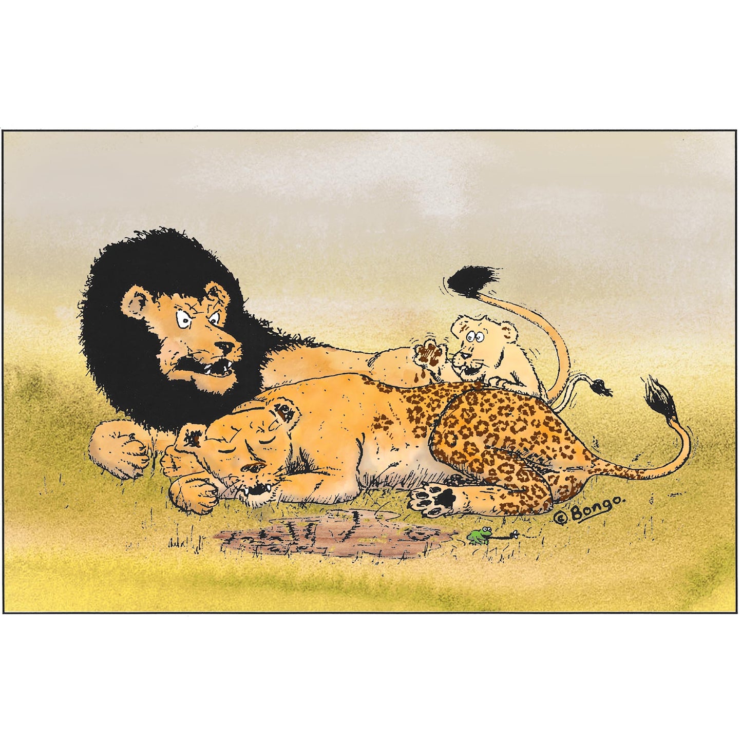 Leopard