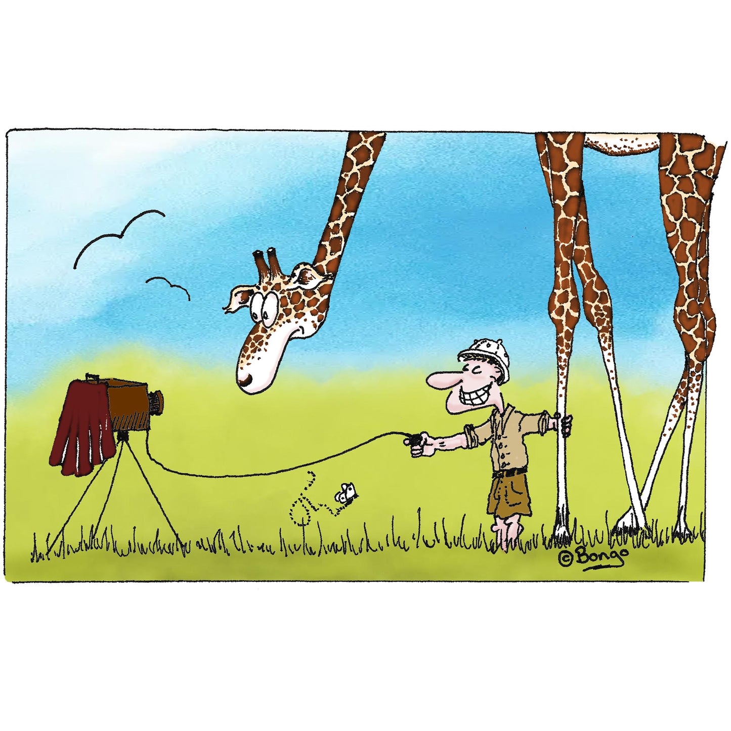 Giraffe Selfie