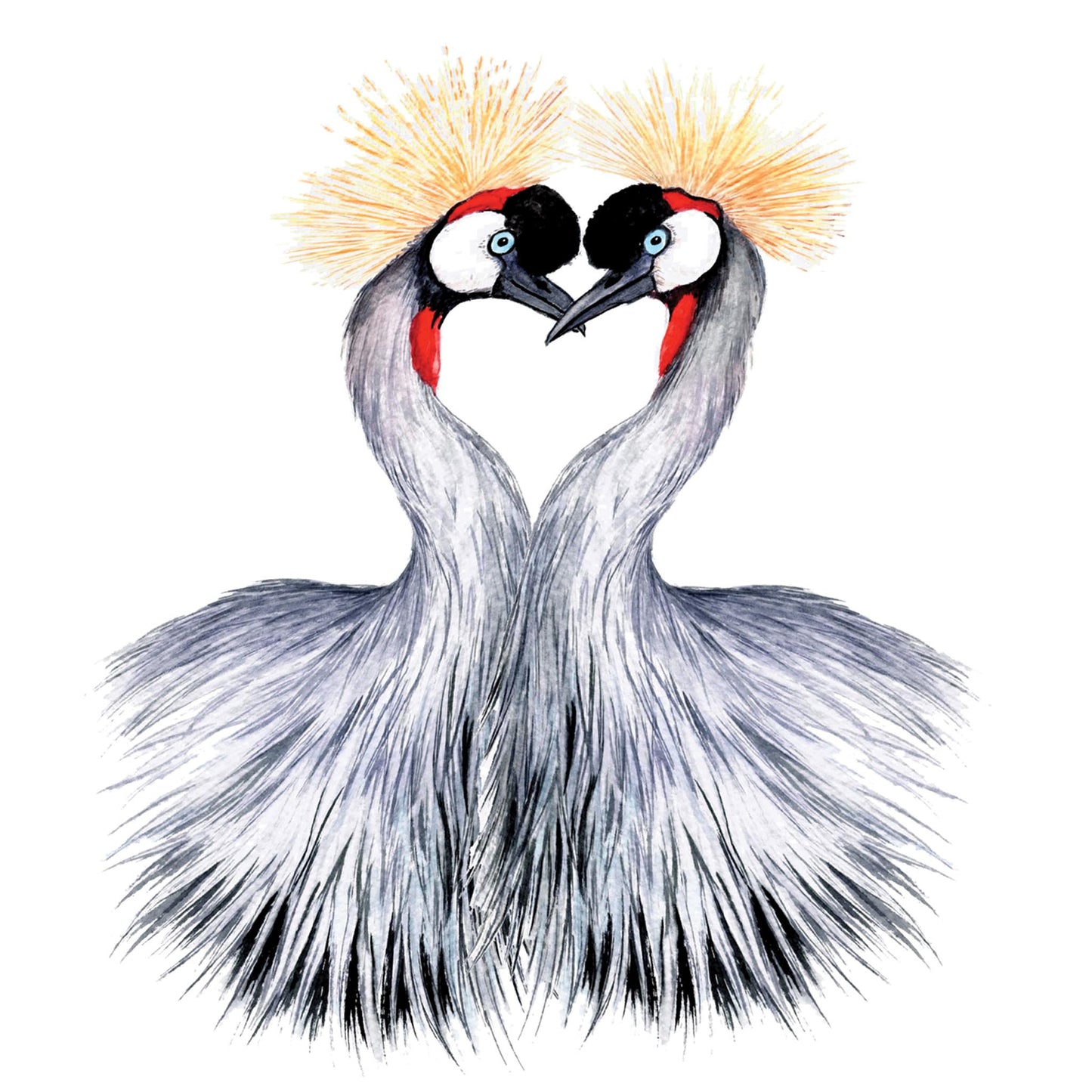 Crested Cranes