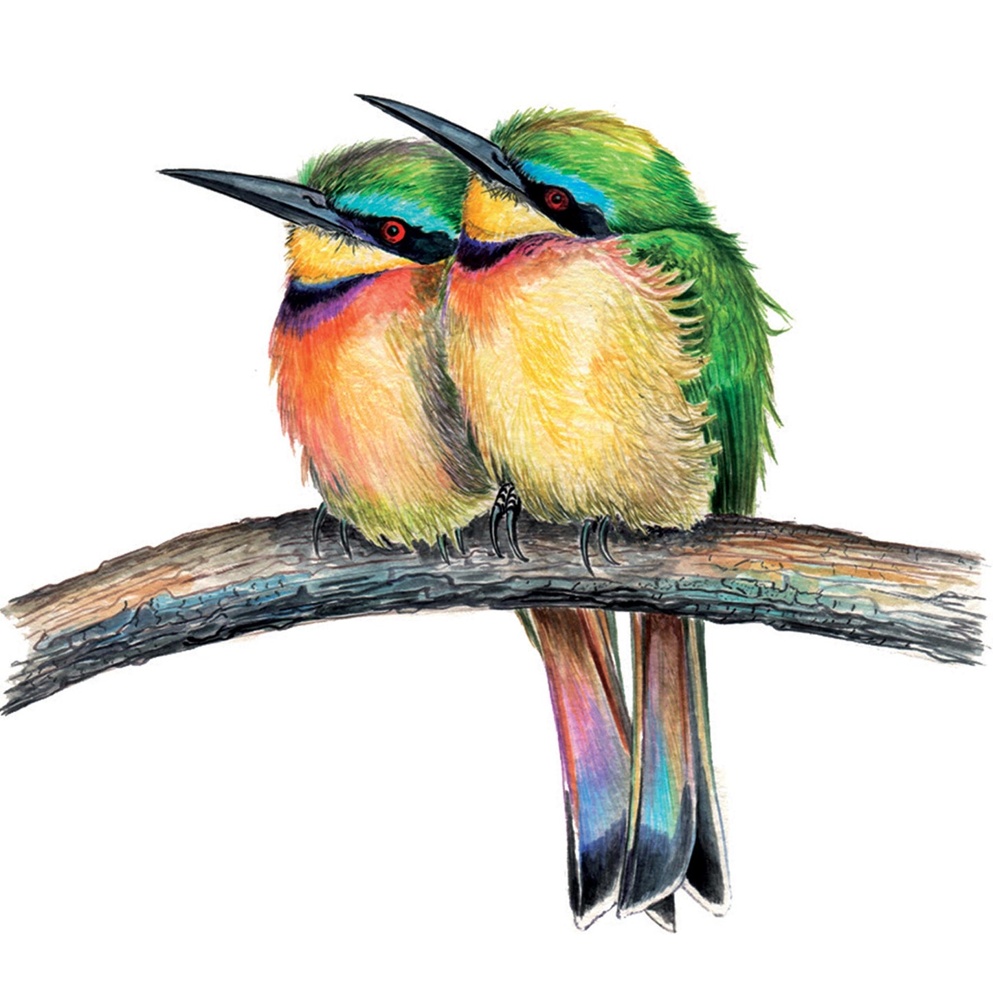 Little Bee Eaters