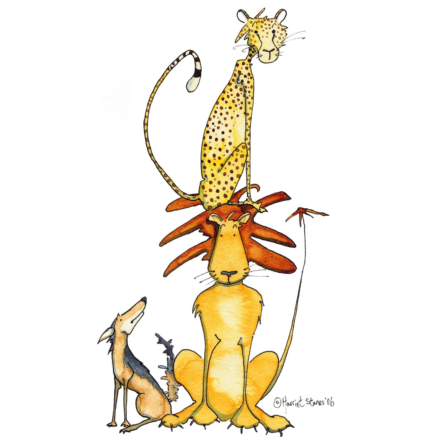 Animals