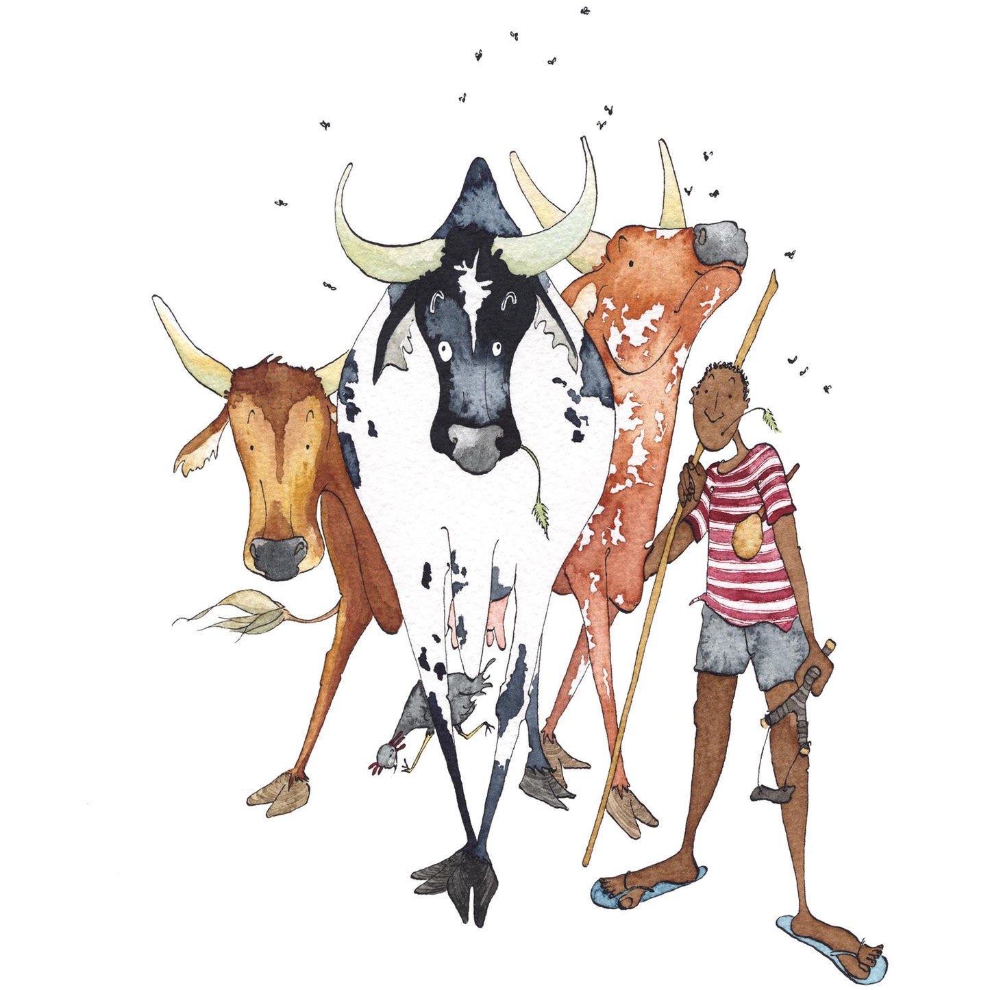 Cow Herd