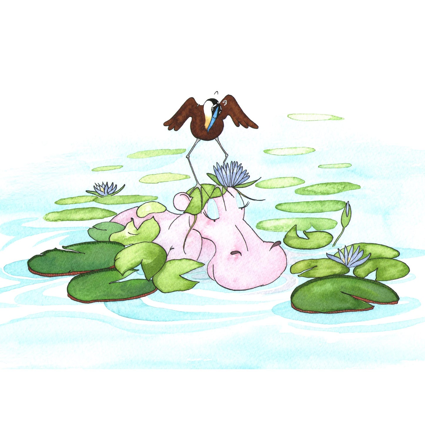 Hippo Lily Pad