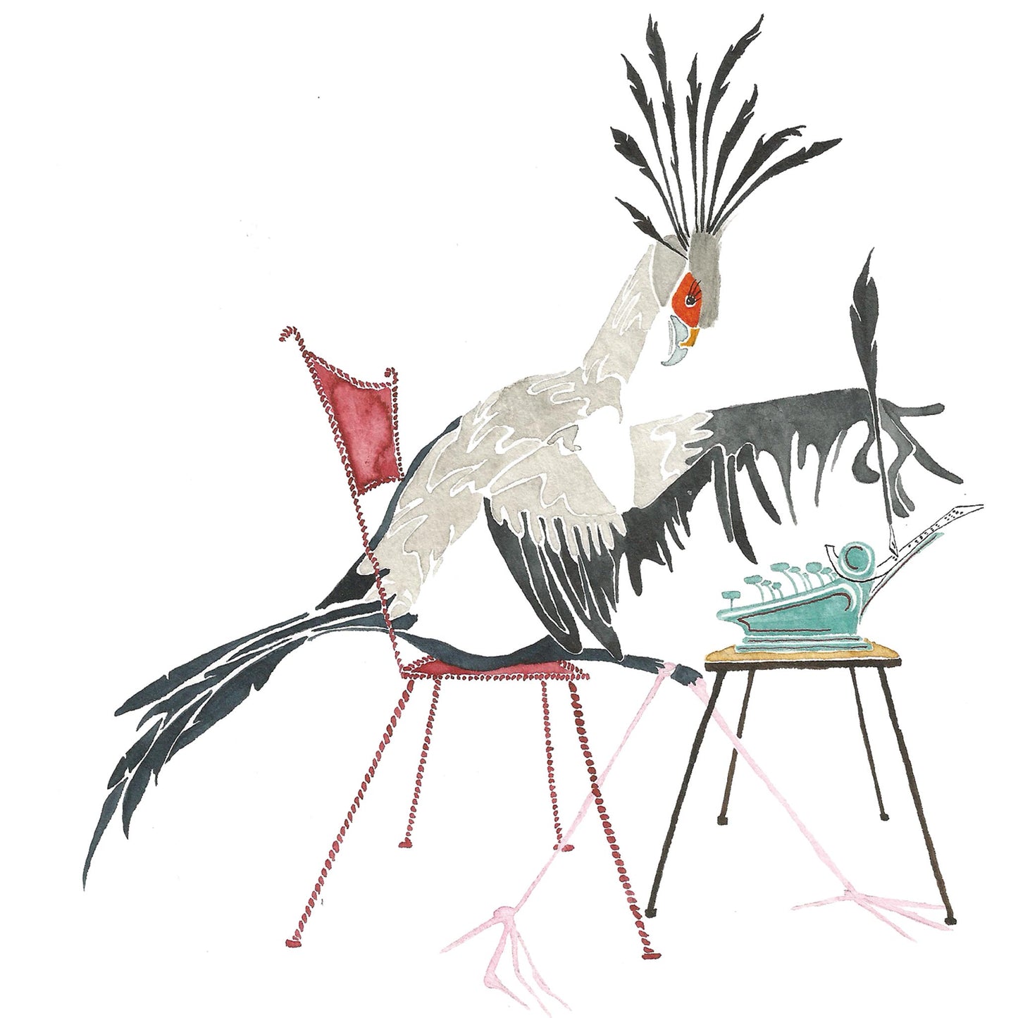 Secretary Bird