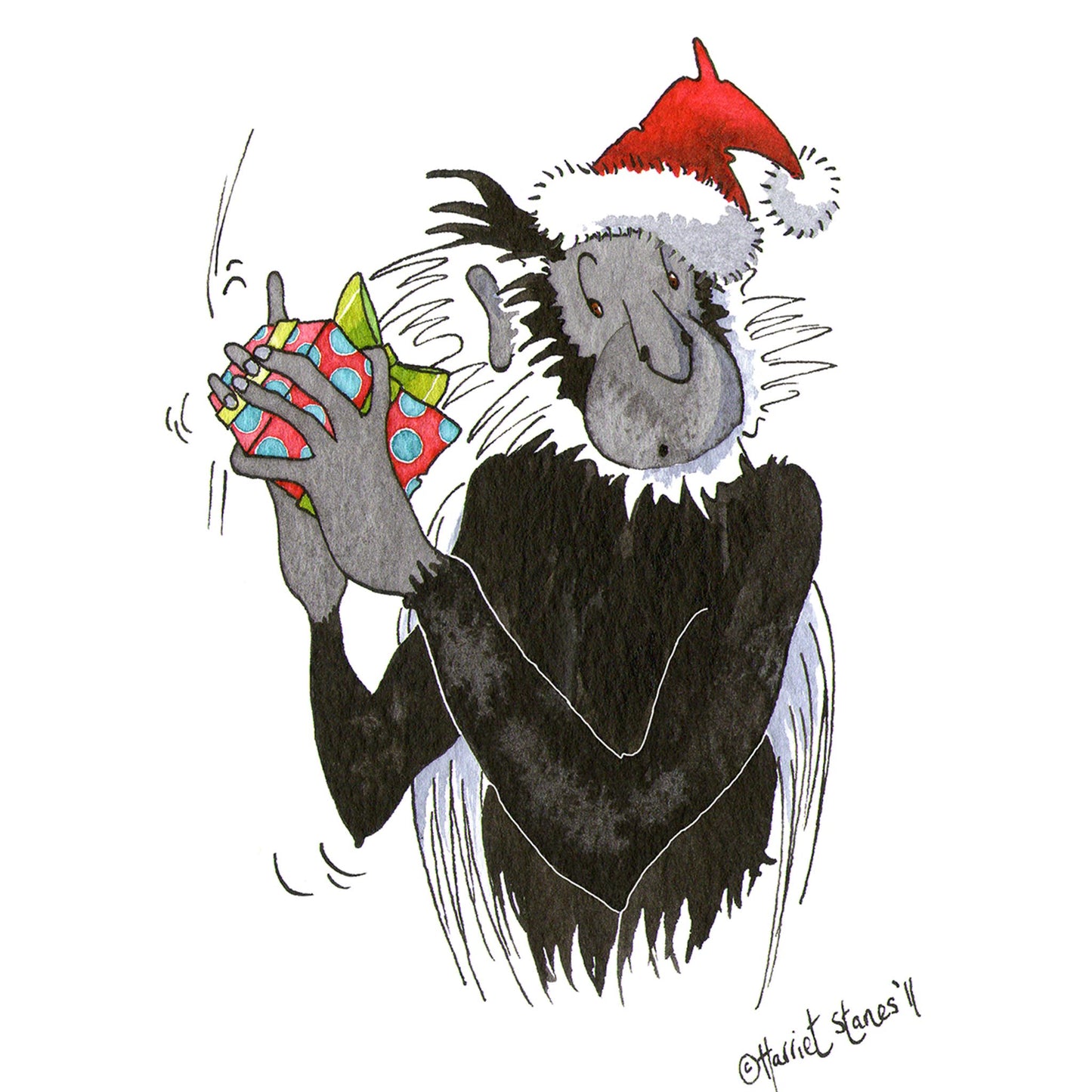 Christmas Colobus
