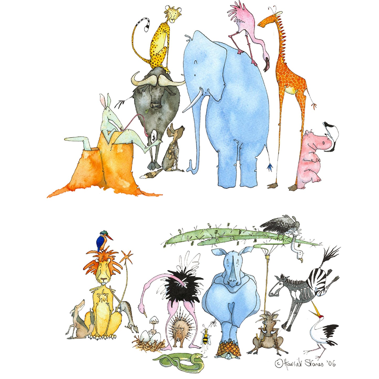 Animal Alphabet