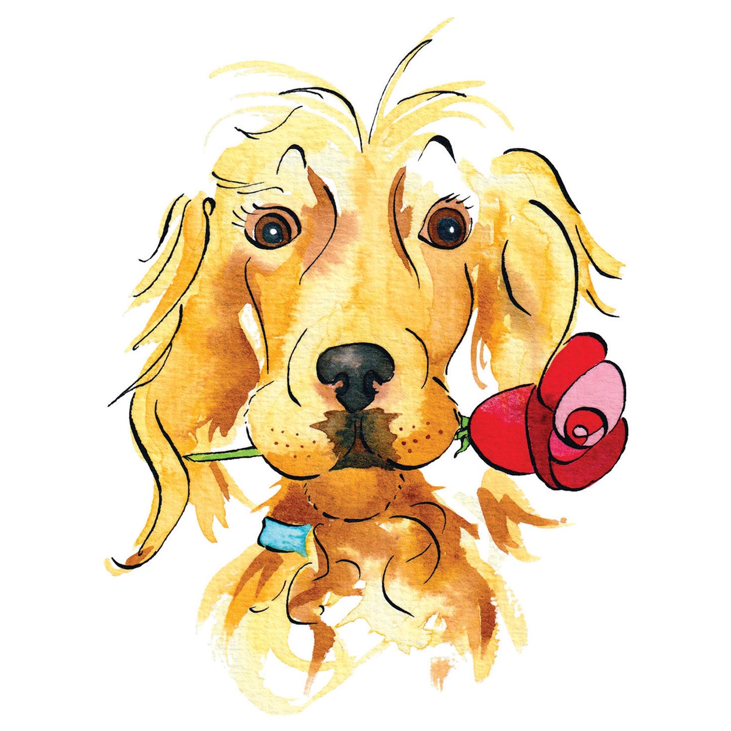 Spaniel
