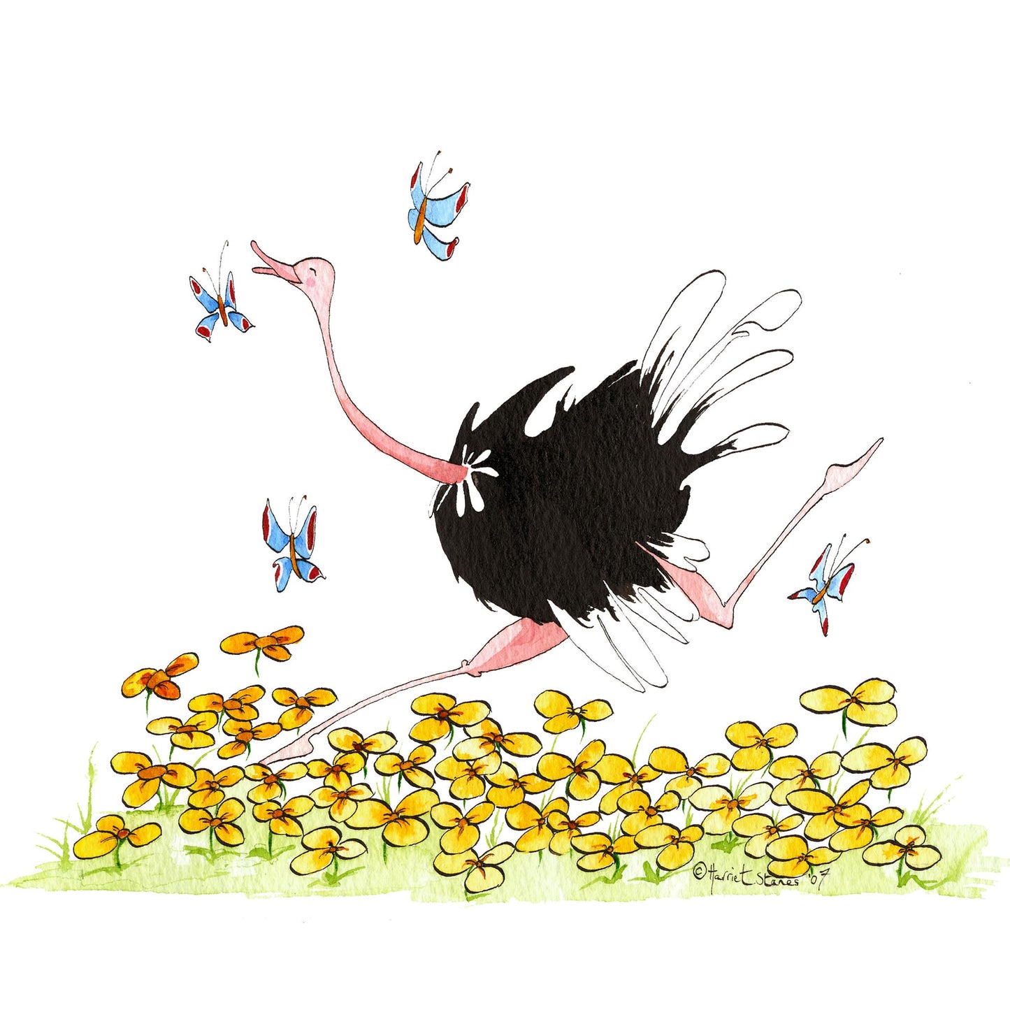 Ostrich