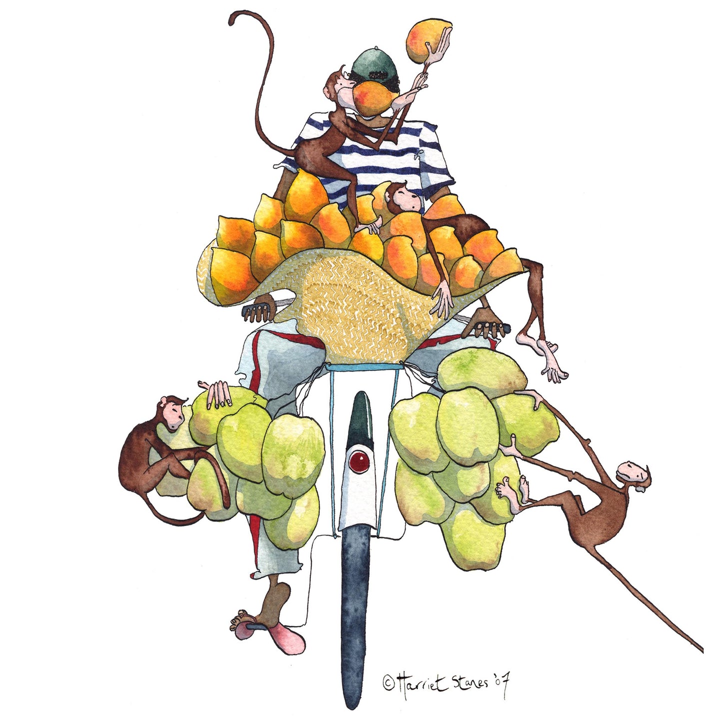 Fruit