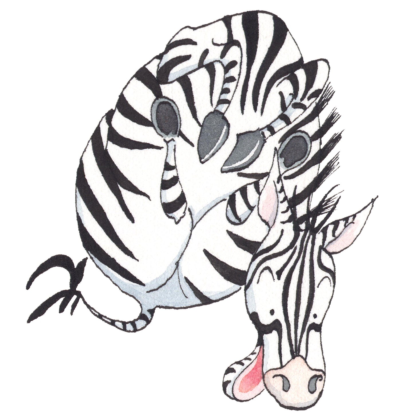 Tumbling Zebra